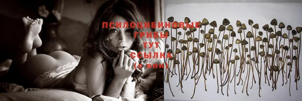 не бодяженный Верхний Тагил